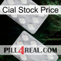 Cial Stock Price 17